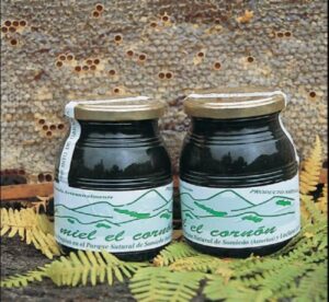 Miel de bosque el Cornón - AsturLucky